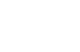 Shocks, Struts & Dampers